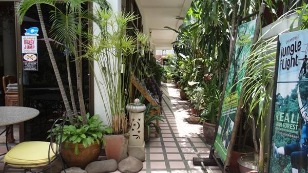 The Red Hibicus Guest House Chiang Mai Exterior photo